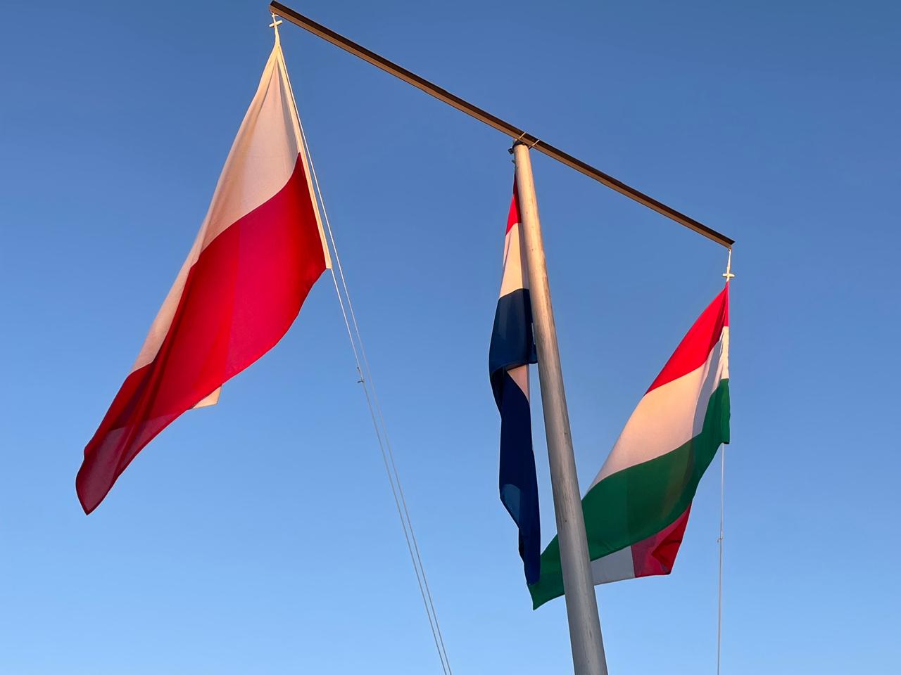 International flags flying at Maccauw