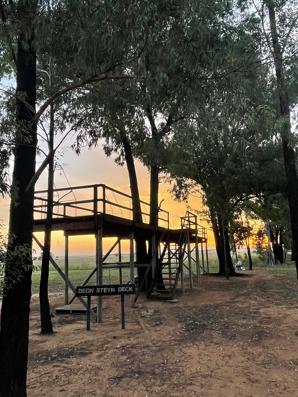 Deon Steyn Deck among the trees at dusk
