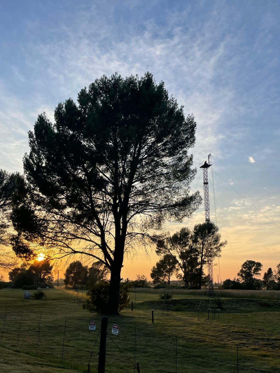 Tower and trees silhouetted against the sunrise